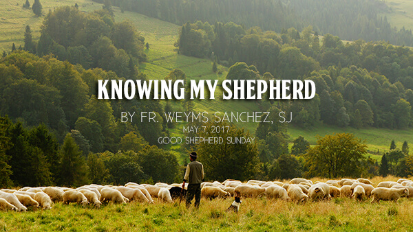 Photo-in-Good-Shepherd-Sunday
