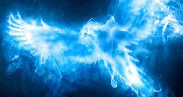 18813905_10207108090099449_7708585826878547653_n