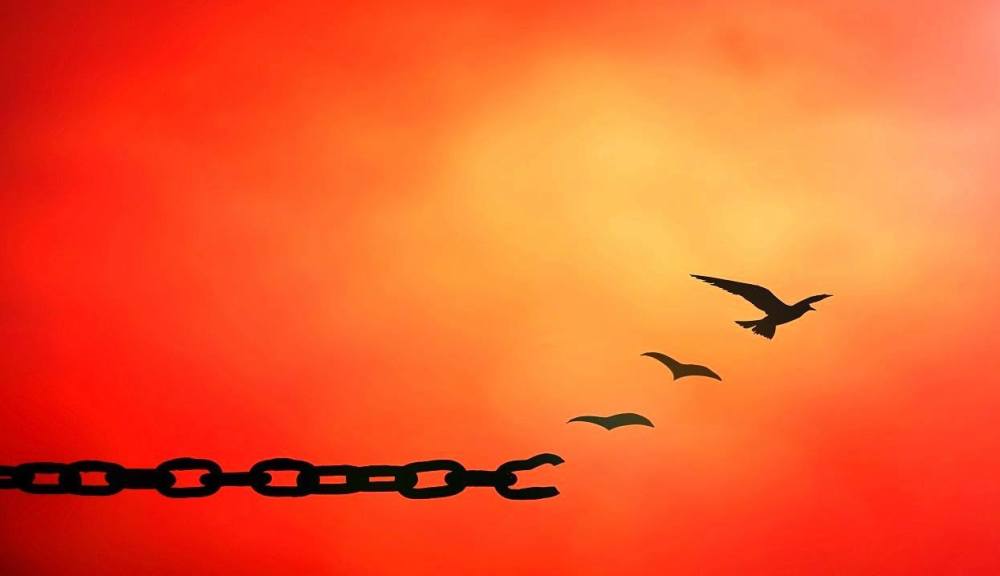 21731850_10156070504009893_7159794350177260357_o