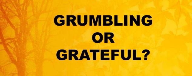 22007627_1834719109876091_1398215229510590628_n