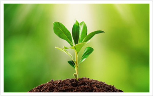 spiritual-growth-princ1