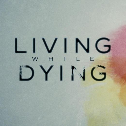 15726432_1218959784859106_1032155495218517713_n