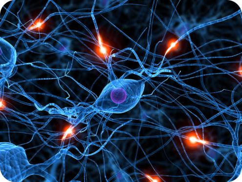 f-d-b3121044297b47be45c8a4b1ee12b3b7991c472c3b506ad415f8fe54+IMAGE_TINY+IMAGE_TINY.1